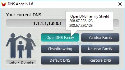 DNS Angel 스크린샷 2