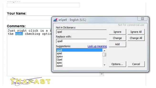 ieSpell 스크린샷 2