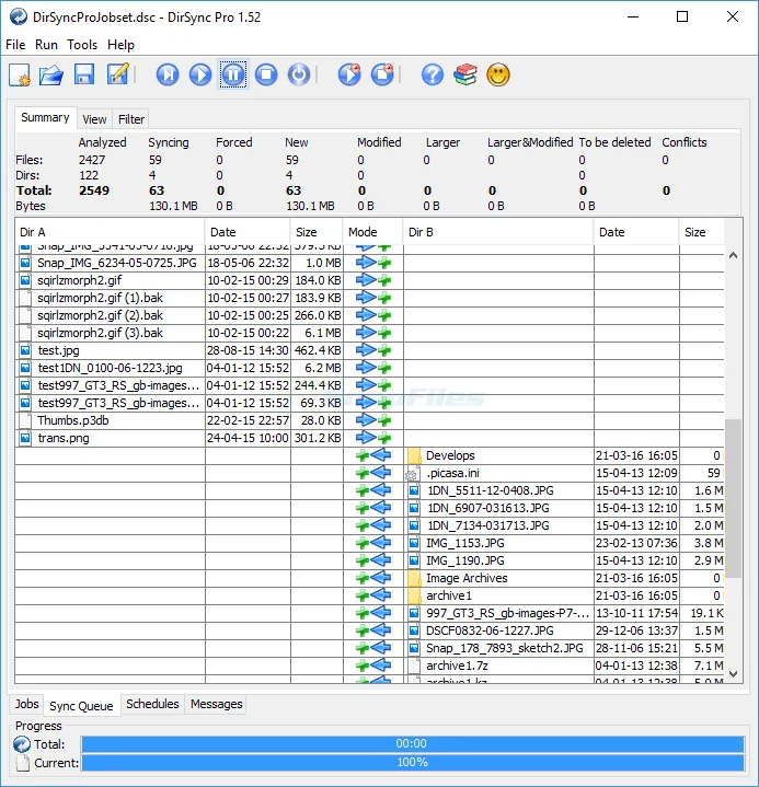 DirSync Pro 스크린샷 2